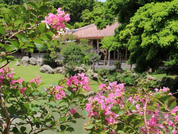 flower and temple appu