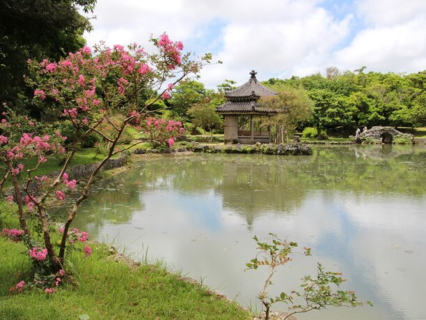 pond with flowers