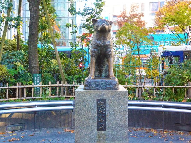 鎮座して見守っている忠犬ハチ公