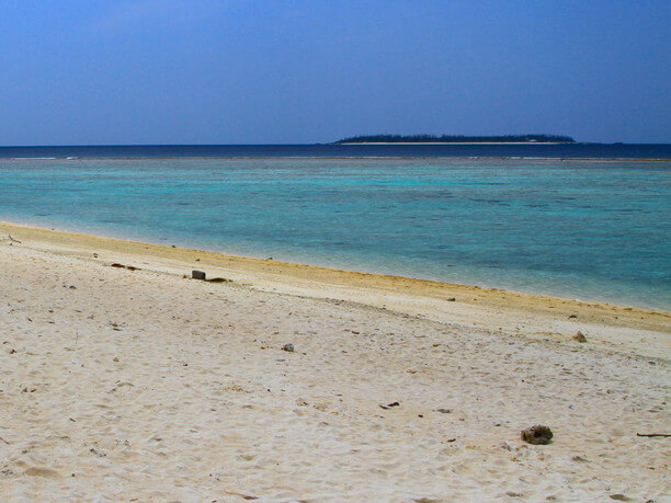 the beach