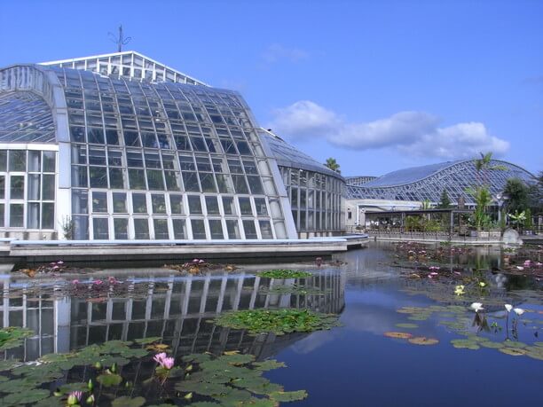 京都 府立 植物園