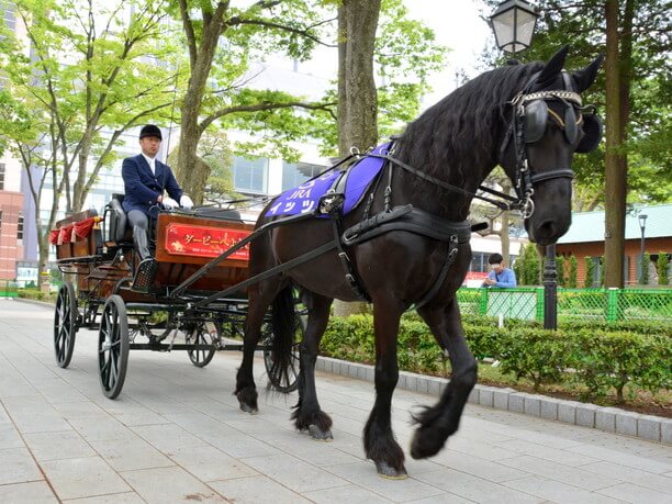 Tokyo Racecourse