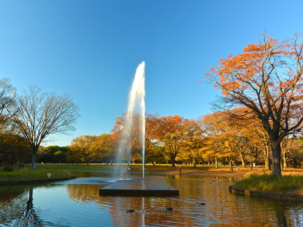 Yoyogi Park