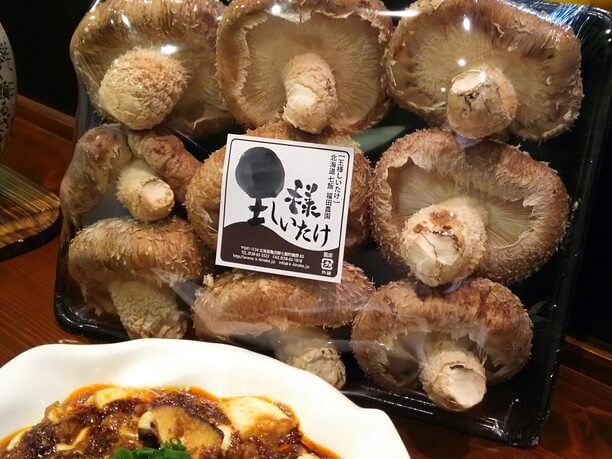 shiitake